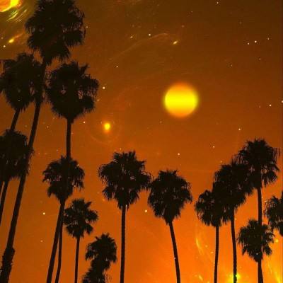 安博体育最新登录地址